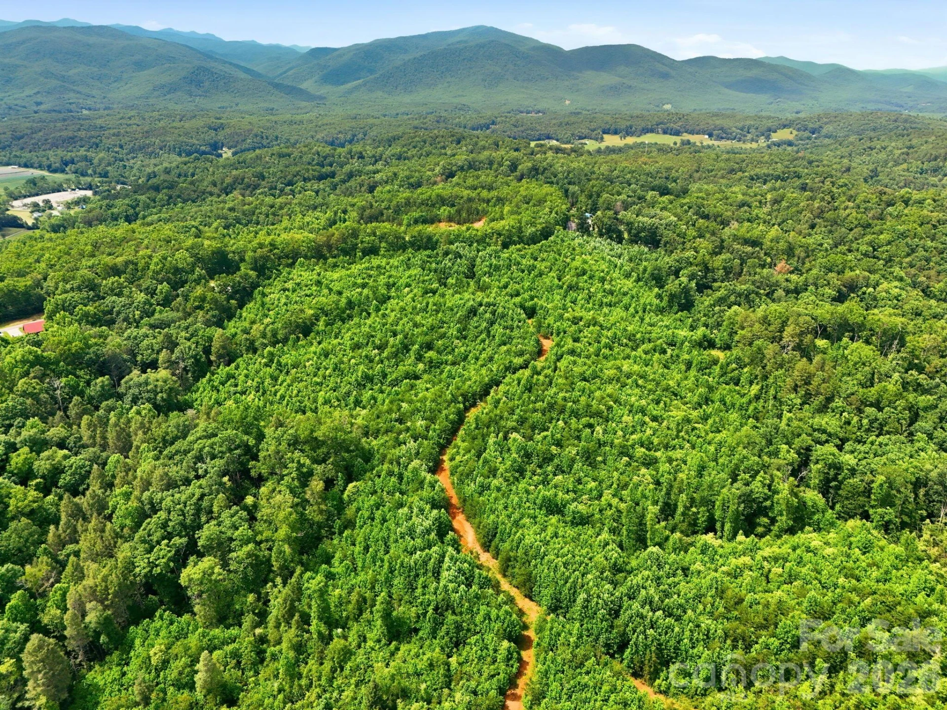 2301 Parker Padgett Road - Photo 10