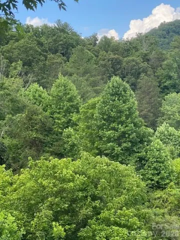 000 East Fork Road, Marshall, NC, 28753