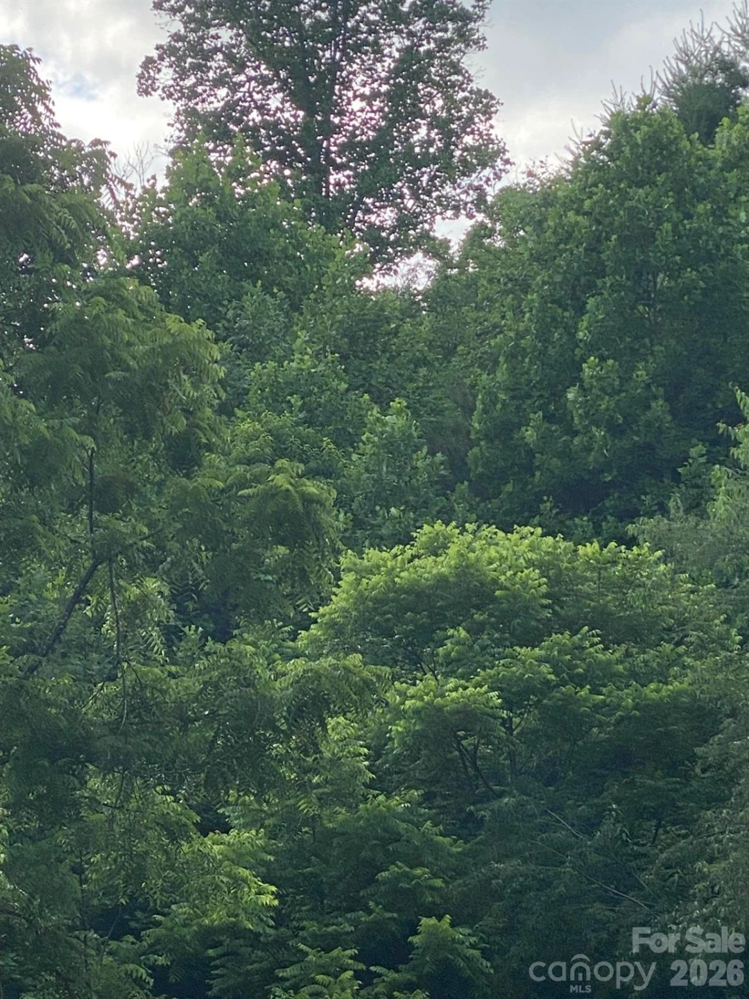 000 East Fork Road - Photo 18