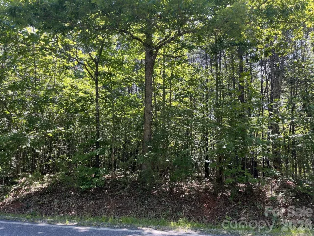 0 ROCK Road, Rutherfordton, NC, 28139