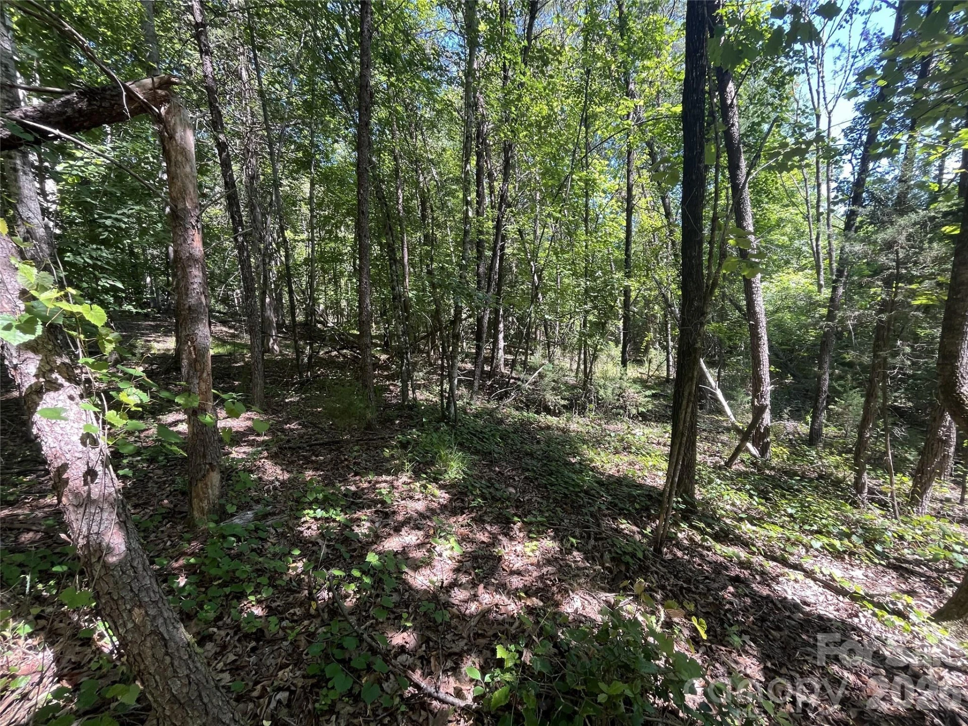 0 ROCK Road - Photo 2