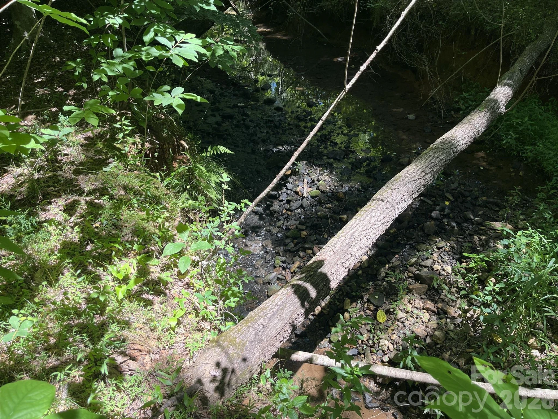 0 ROCK Road - Photo 5