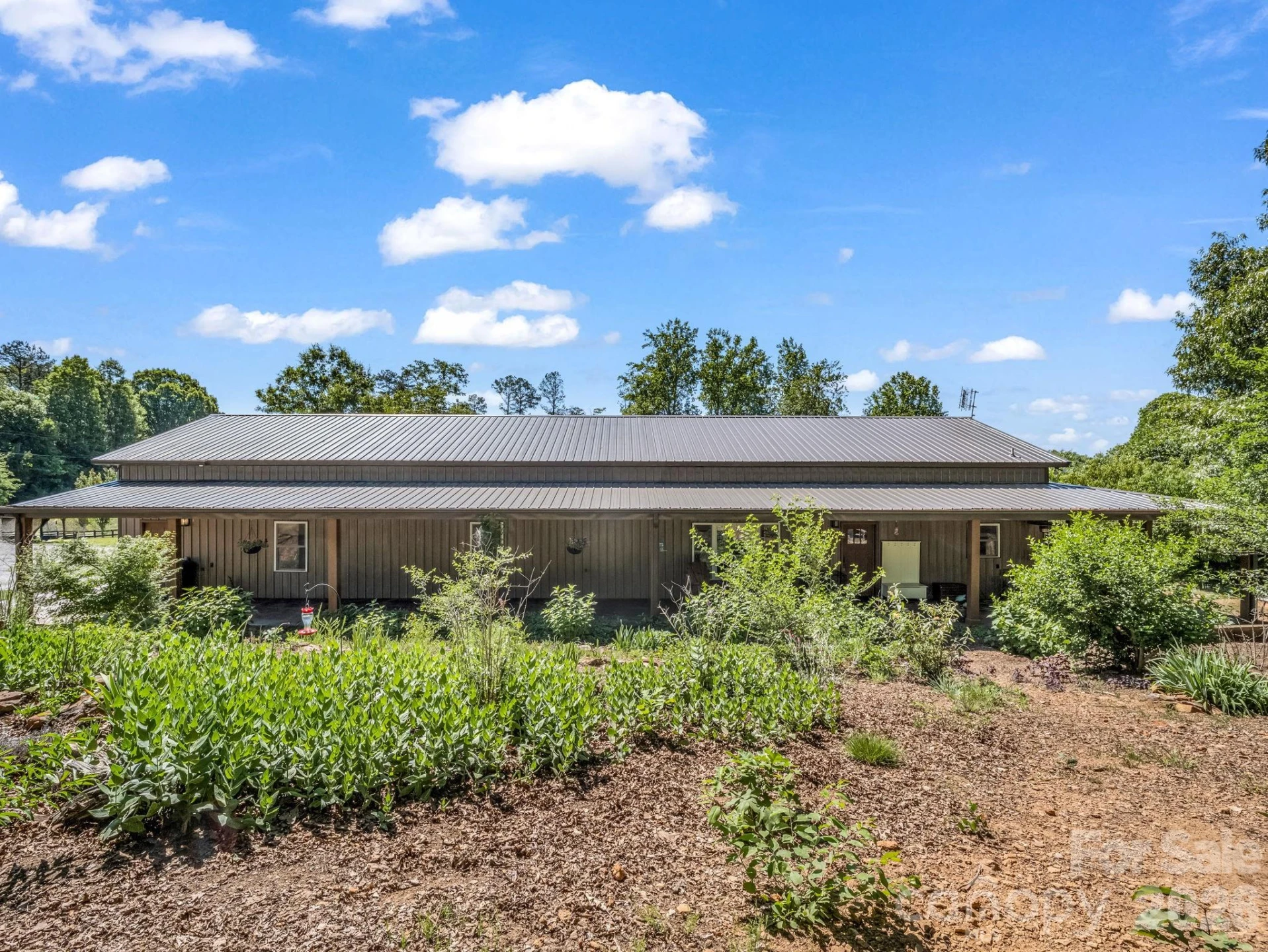 372 Horn Bottom Road - Photo 5