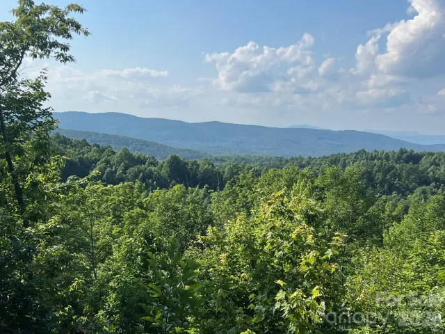 253 Falls Creek Drive, Nebo, NC, 28761