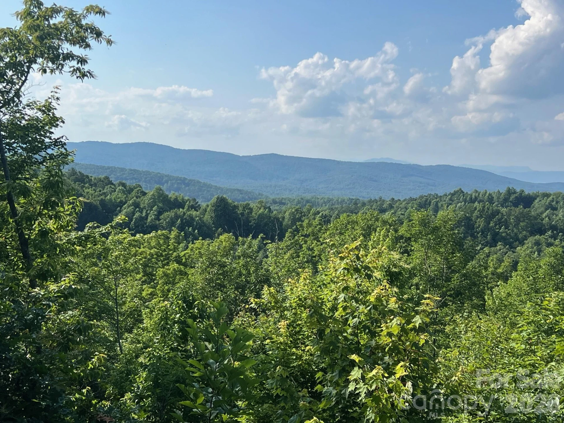 253 Falls Creek Drive