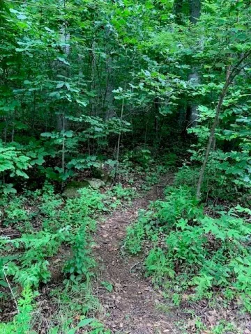 tbd Whitewater Cove, Montreat, NC, 28757