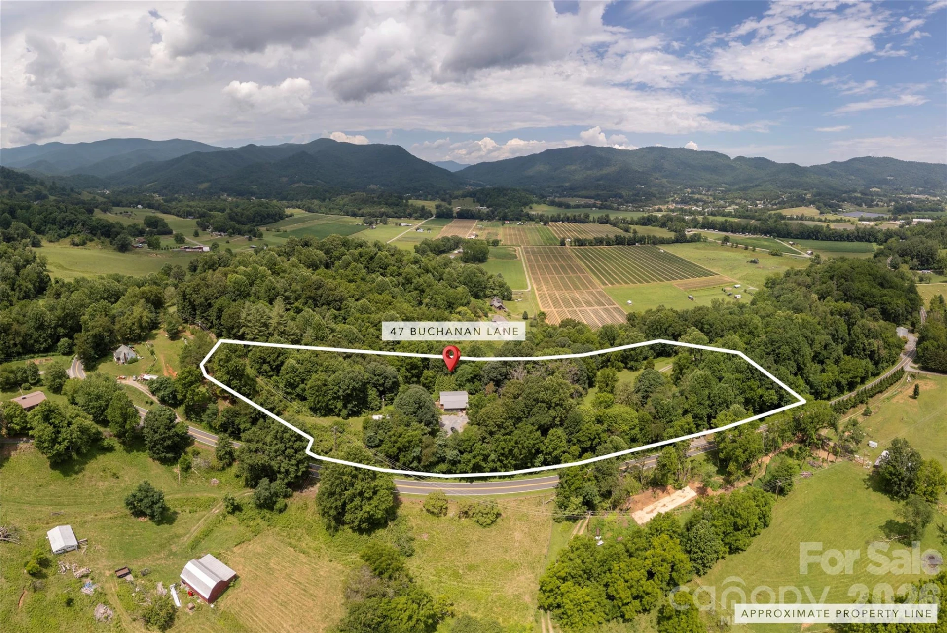 47 Buchanan Lane - Photo 34