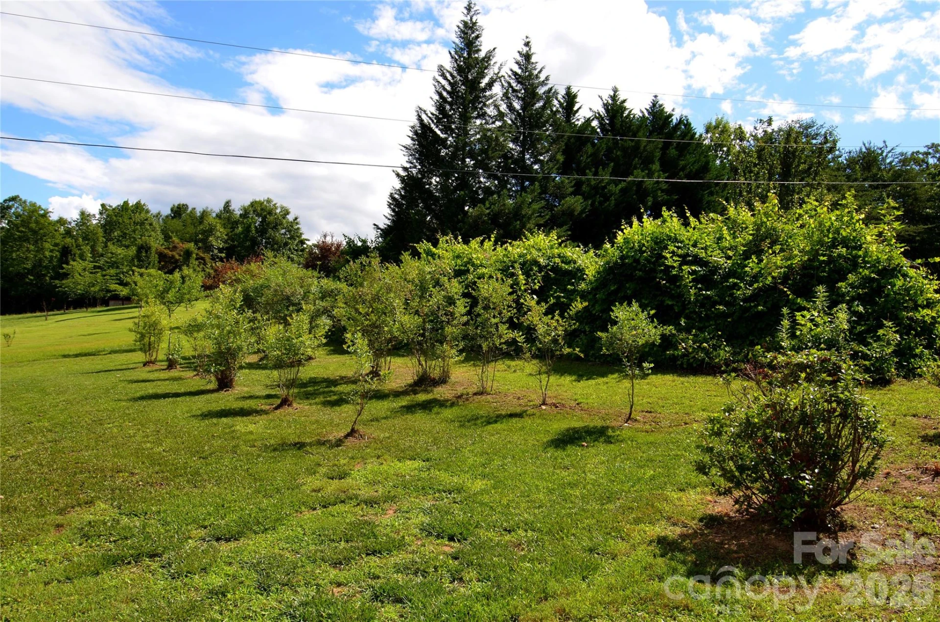 848 Deer Park Road - Photo 20