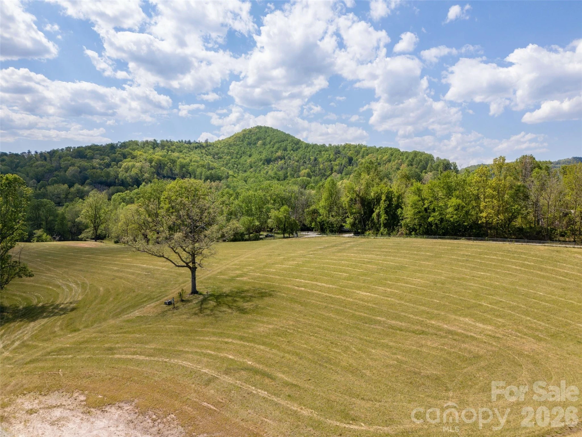 285 Mount Gilead Church Road - Photo 10