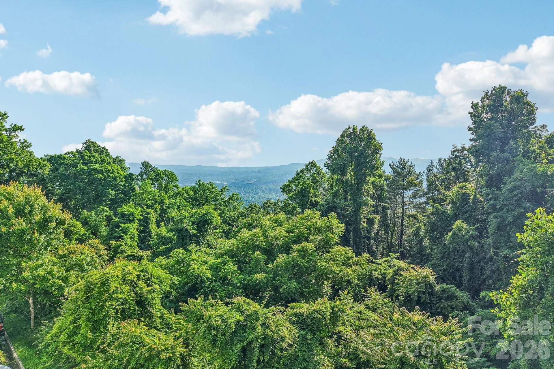 647 Town Mountain Road #212 - Photo 4