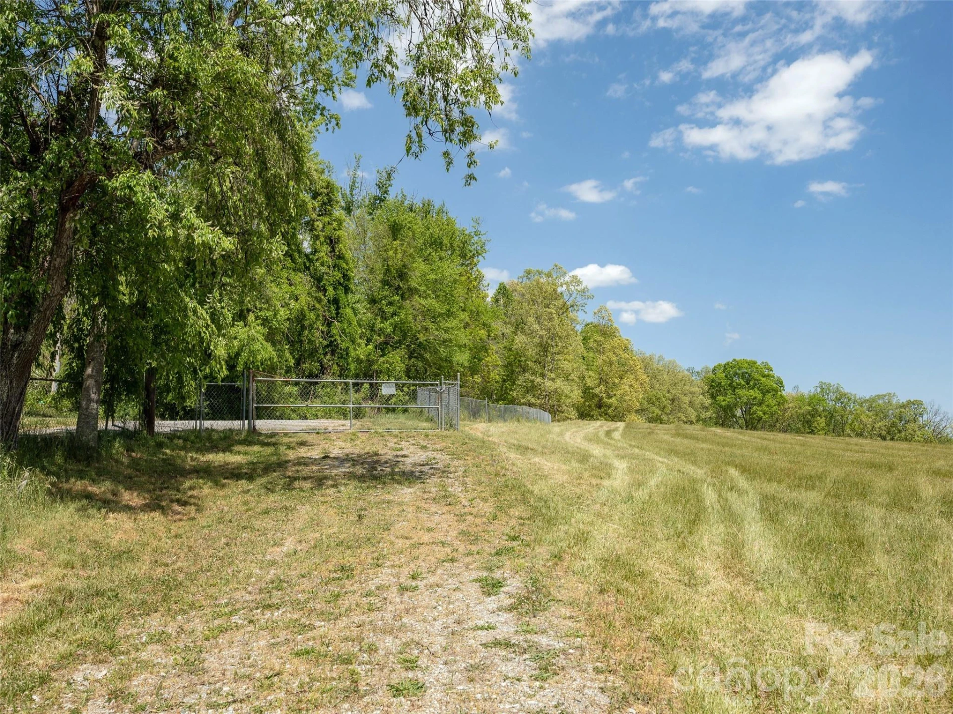 154 High Pasture Trail - Photo 13