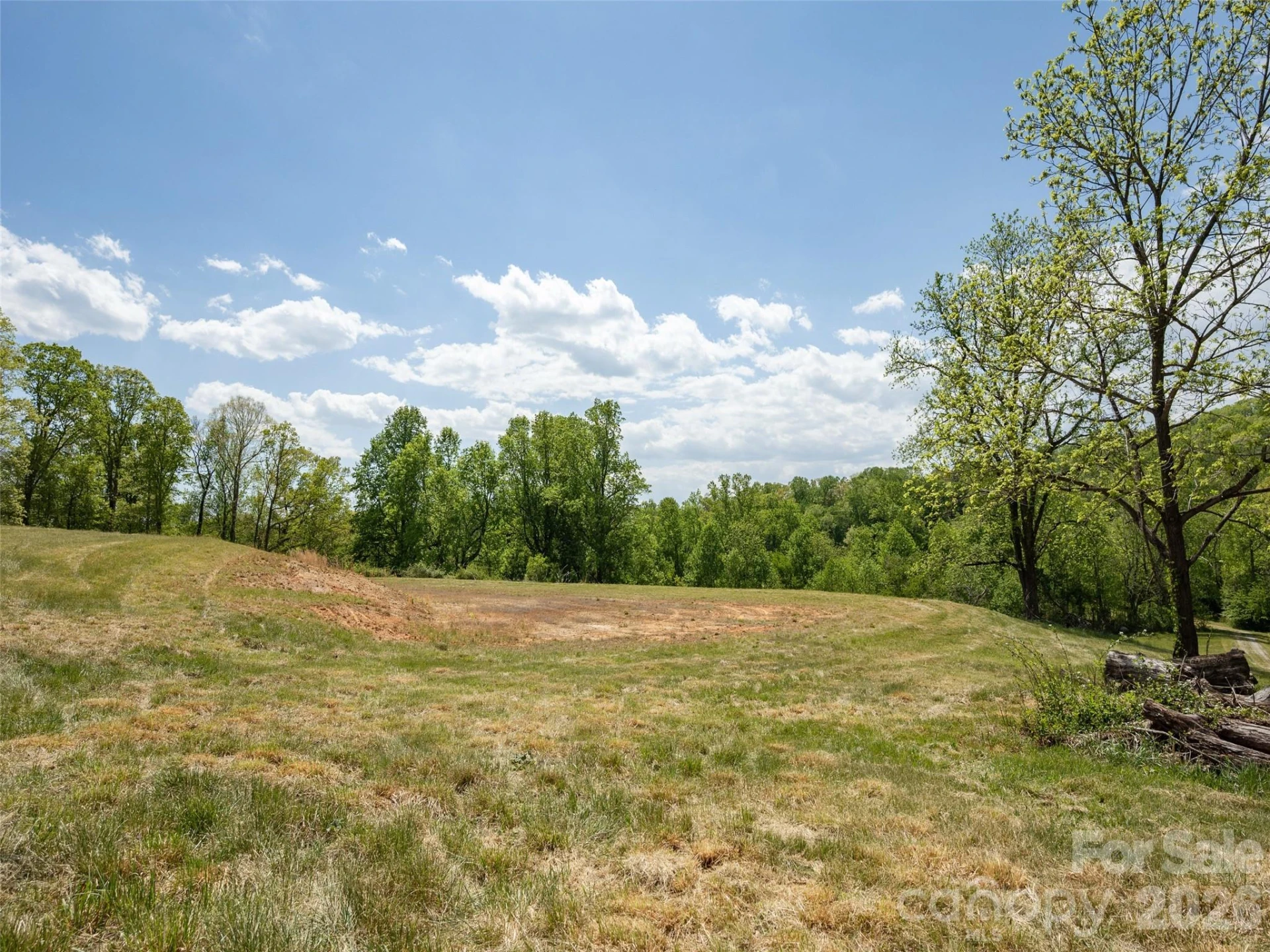 154 High Pasture Trail - Photo 14