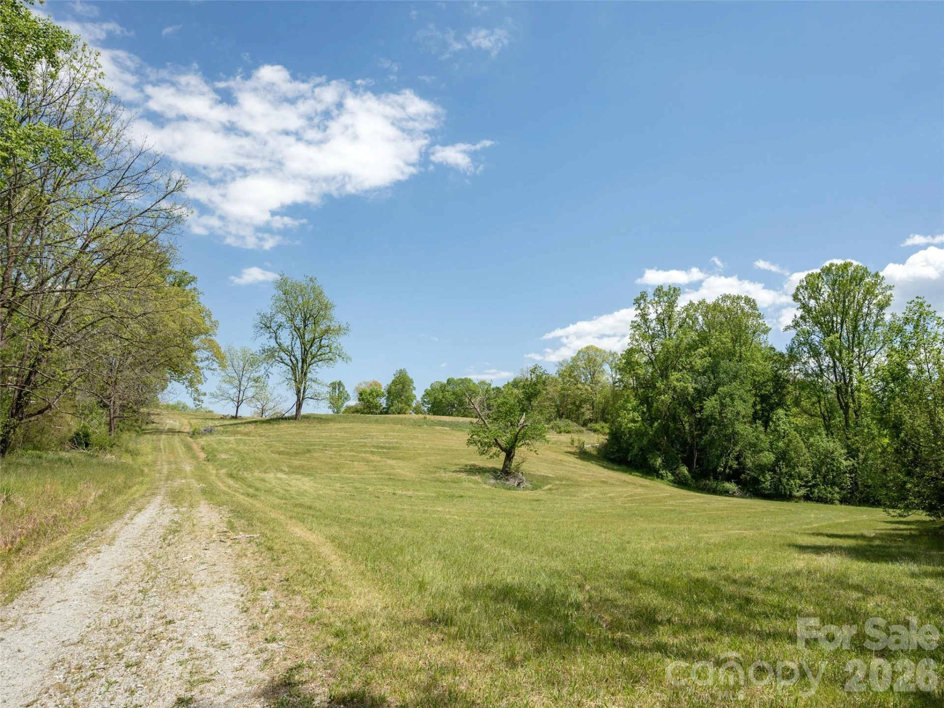 154 High Pasture Trail - Photo 18