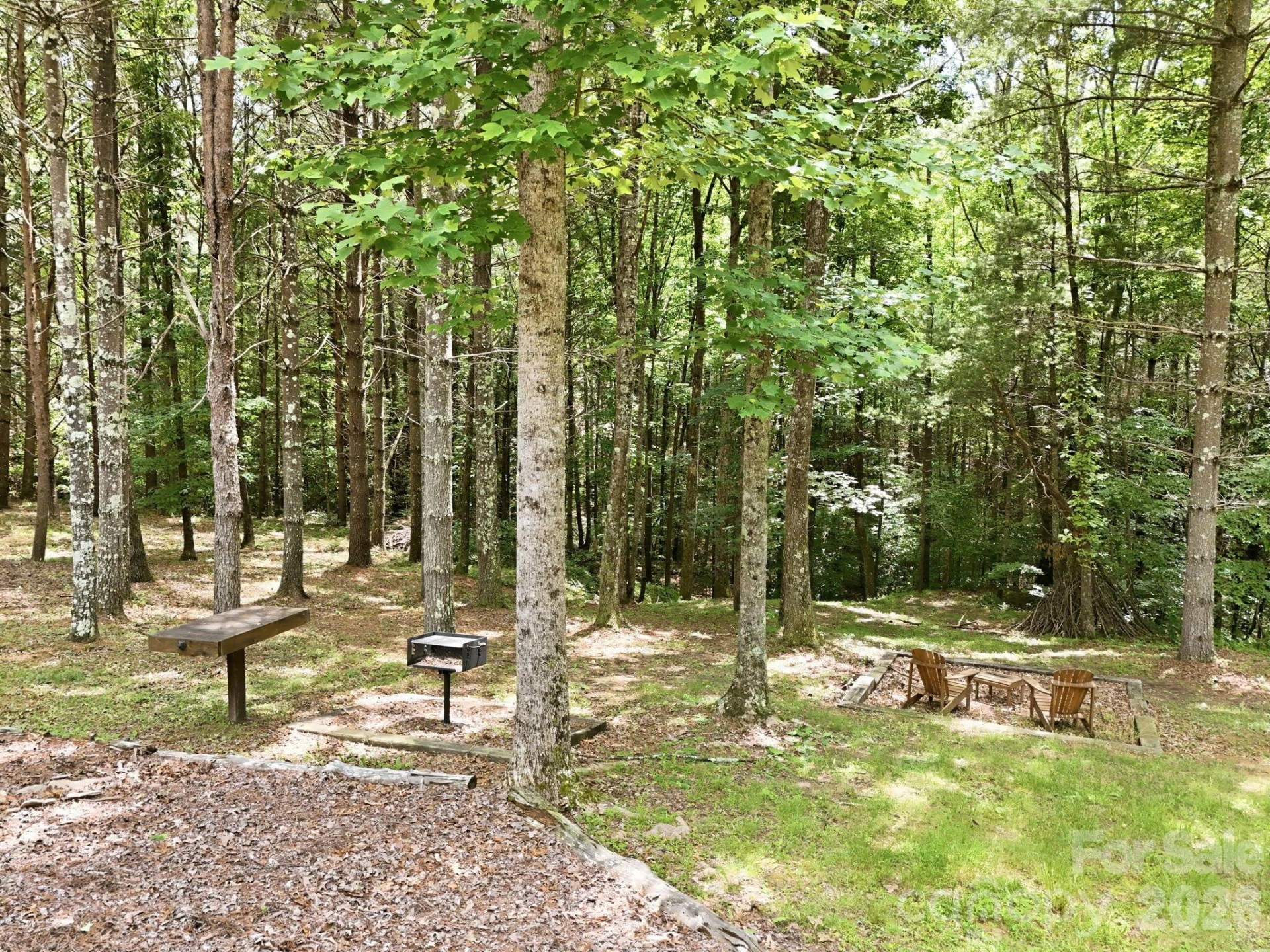 15 Trillium Trail - Photo 9