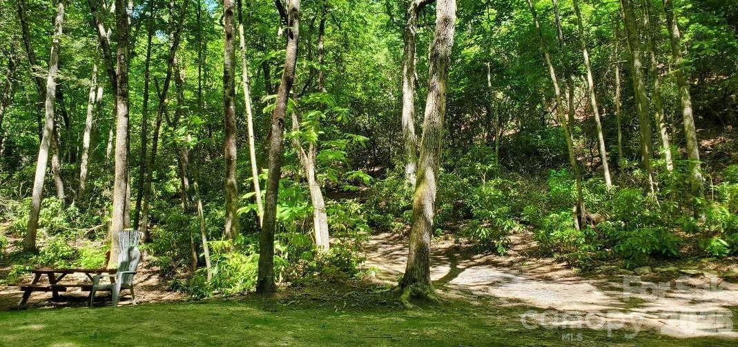 51 Bird Creek Estates Road - Photo 23