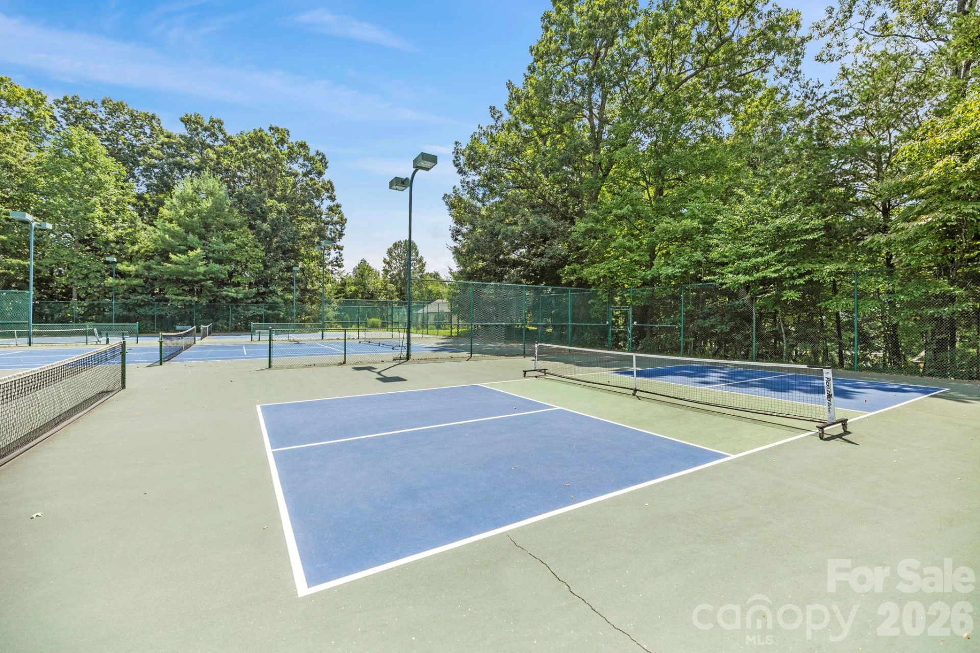 10 Chestnut Top Circle - Photo 41