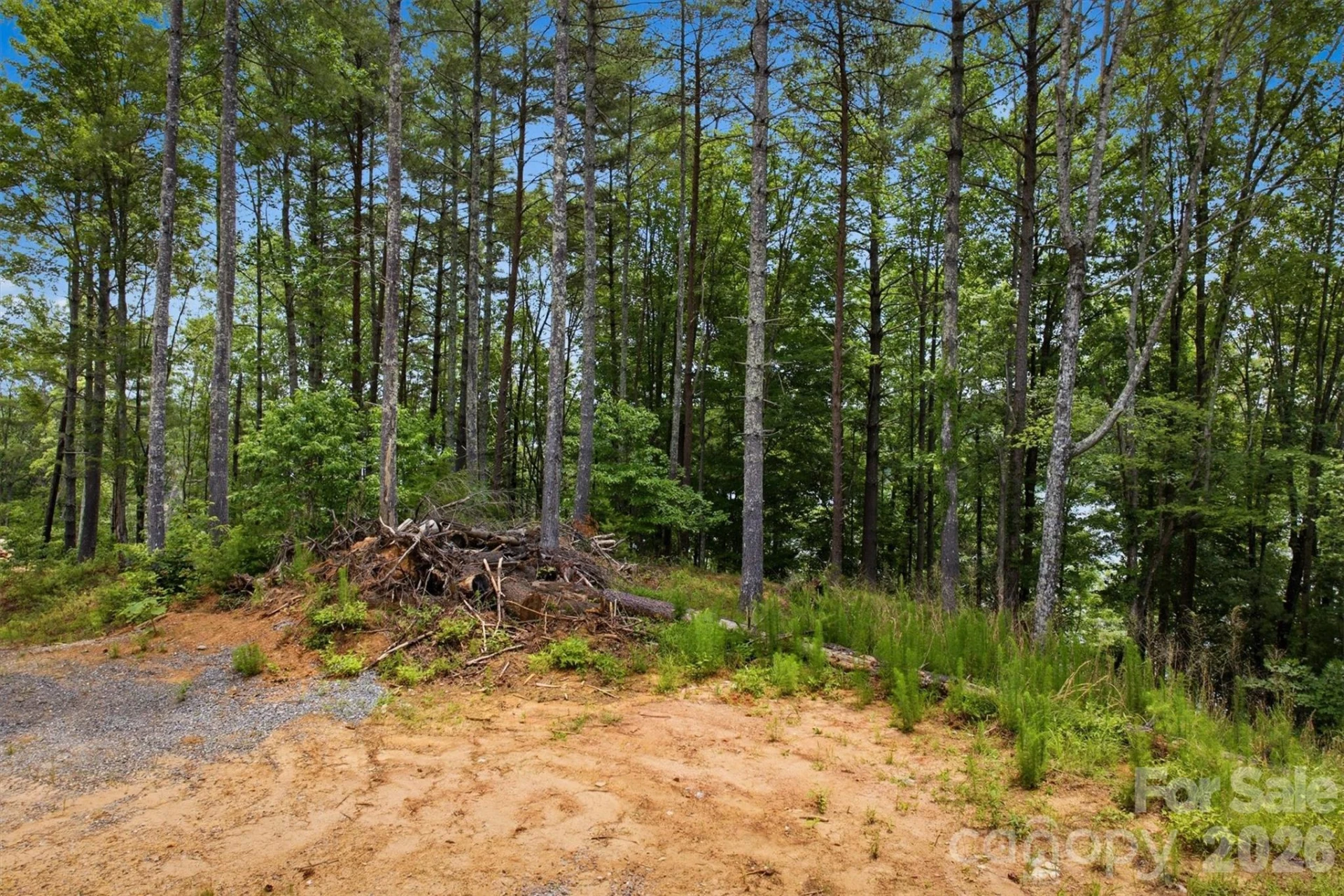 311 Crest View Drive #92 - Photo 14
