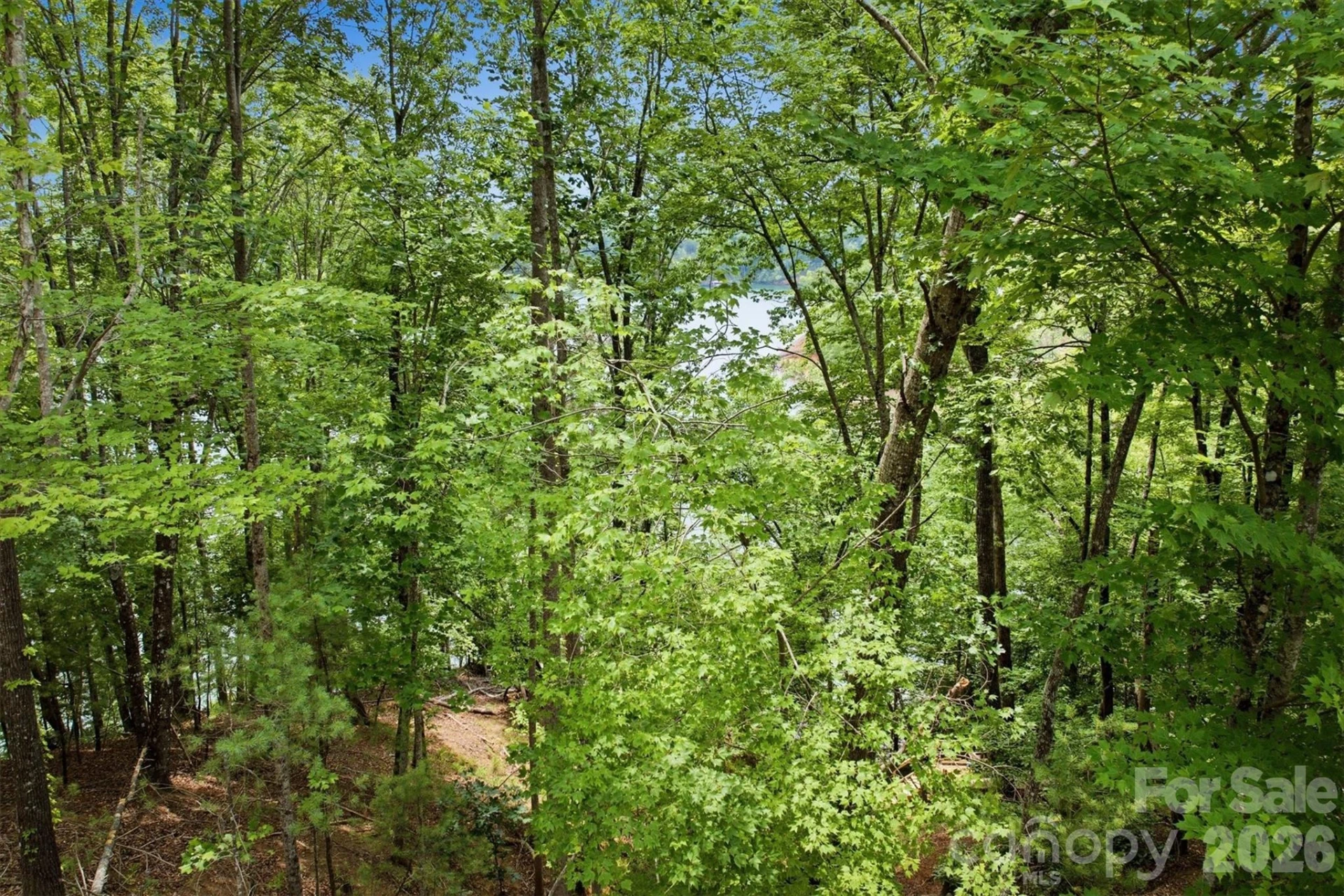 311 Crest View Drive #92 - Photo 15