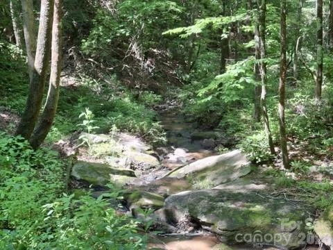 630 Shumont Road - Photo 7