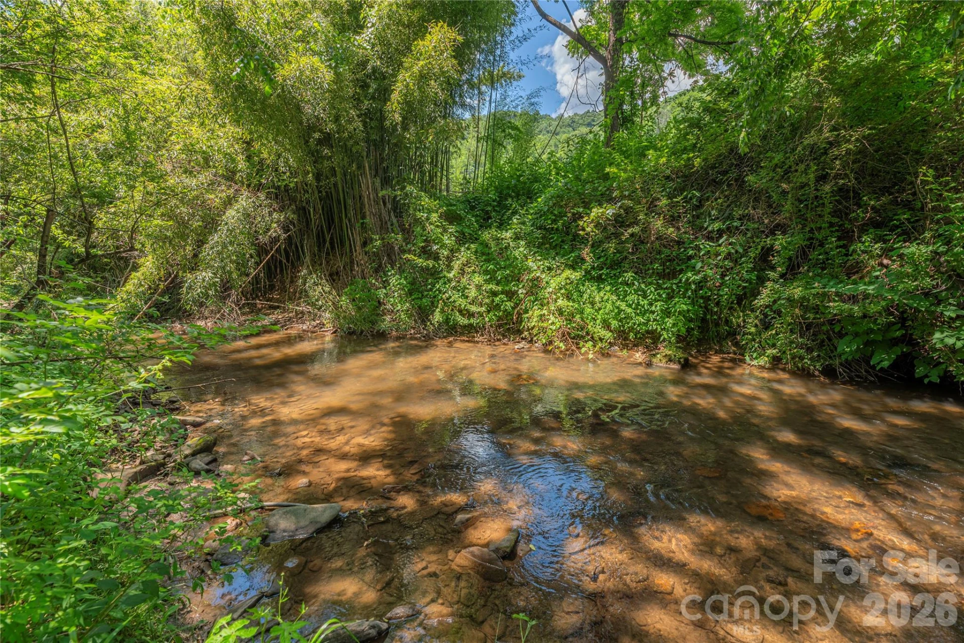 1458 Old Balsam Road - Photo 24