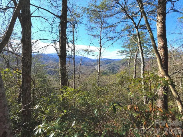 81 Lucerne Drive, Canton, NC, 28716