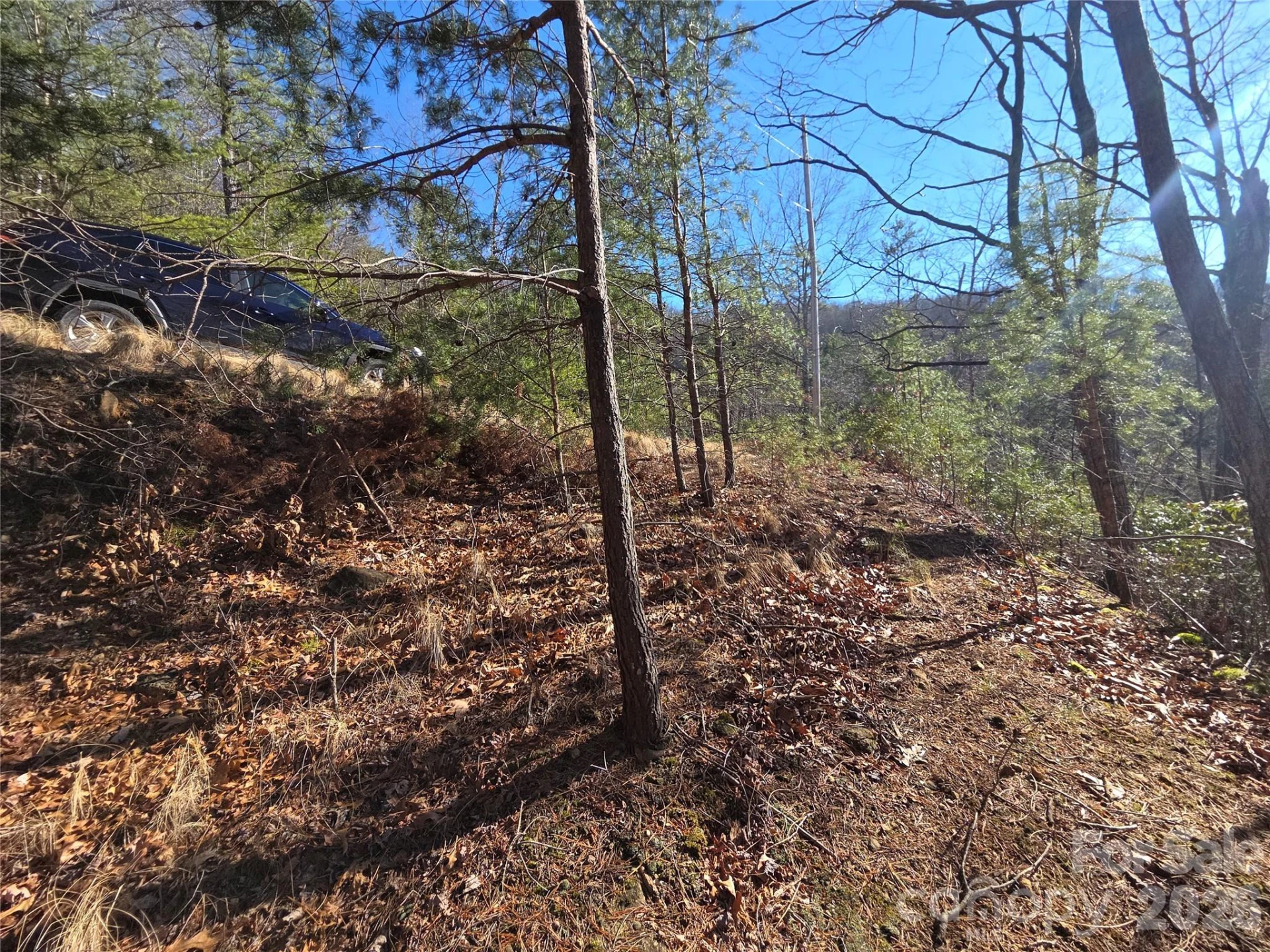 81 Lucerne Drive - Photo 12