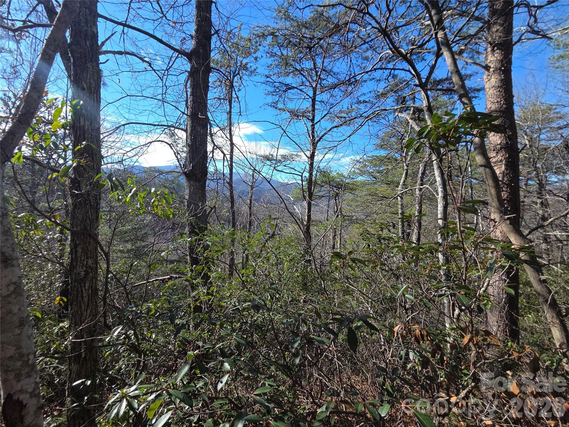 81 Lucerne Drive - Photo 13