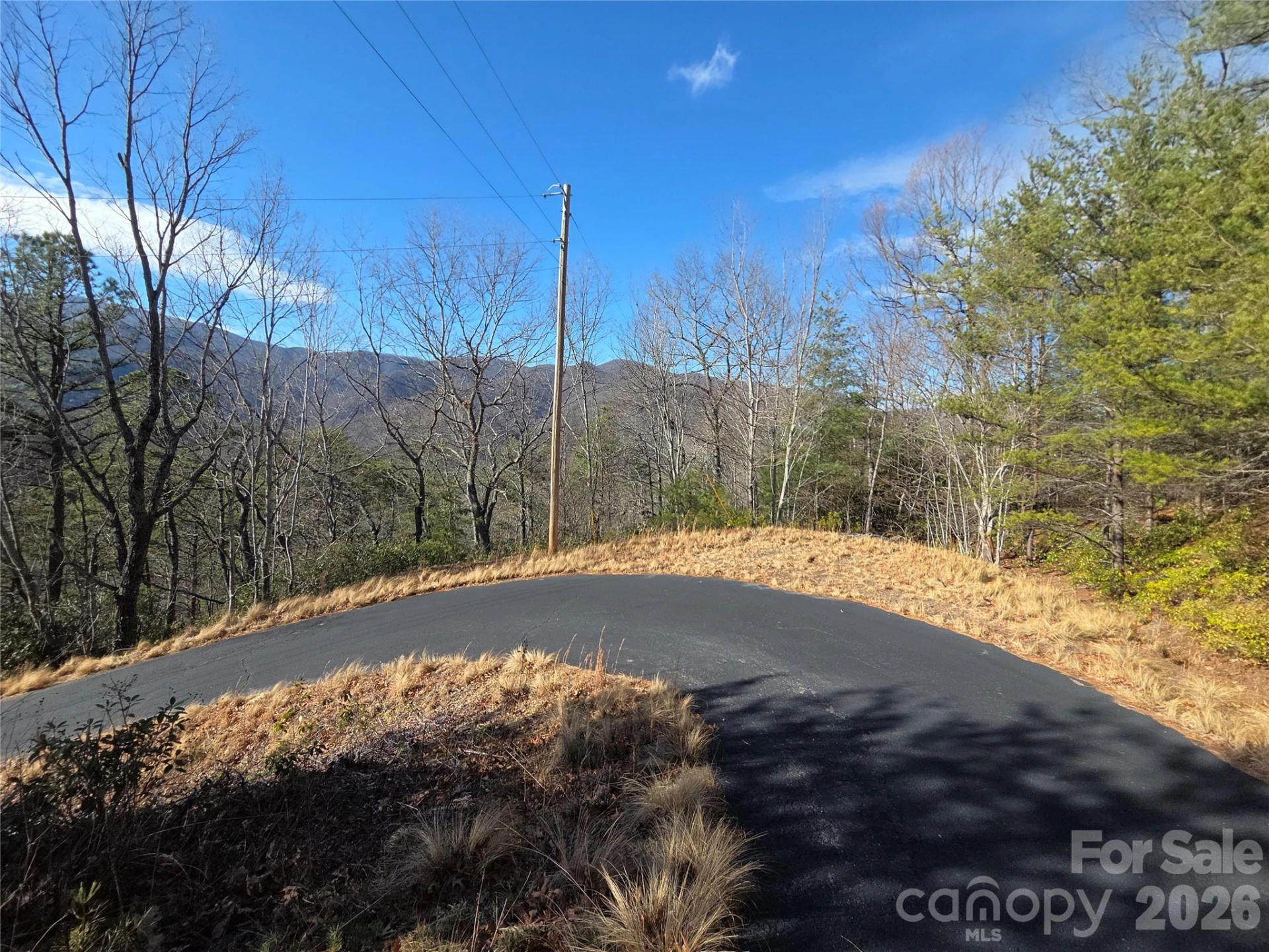 81 Lucerne Drive - Photo 6