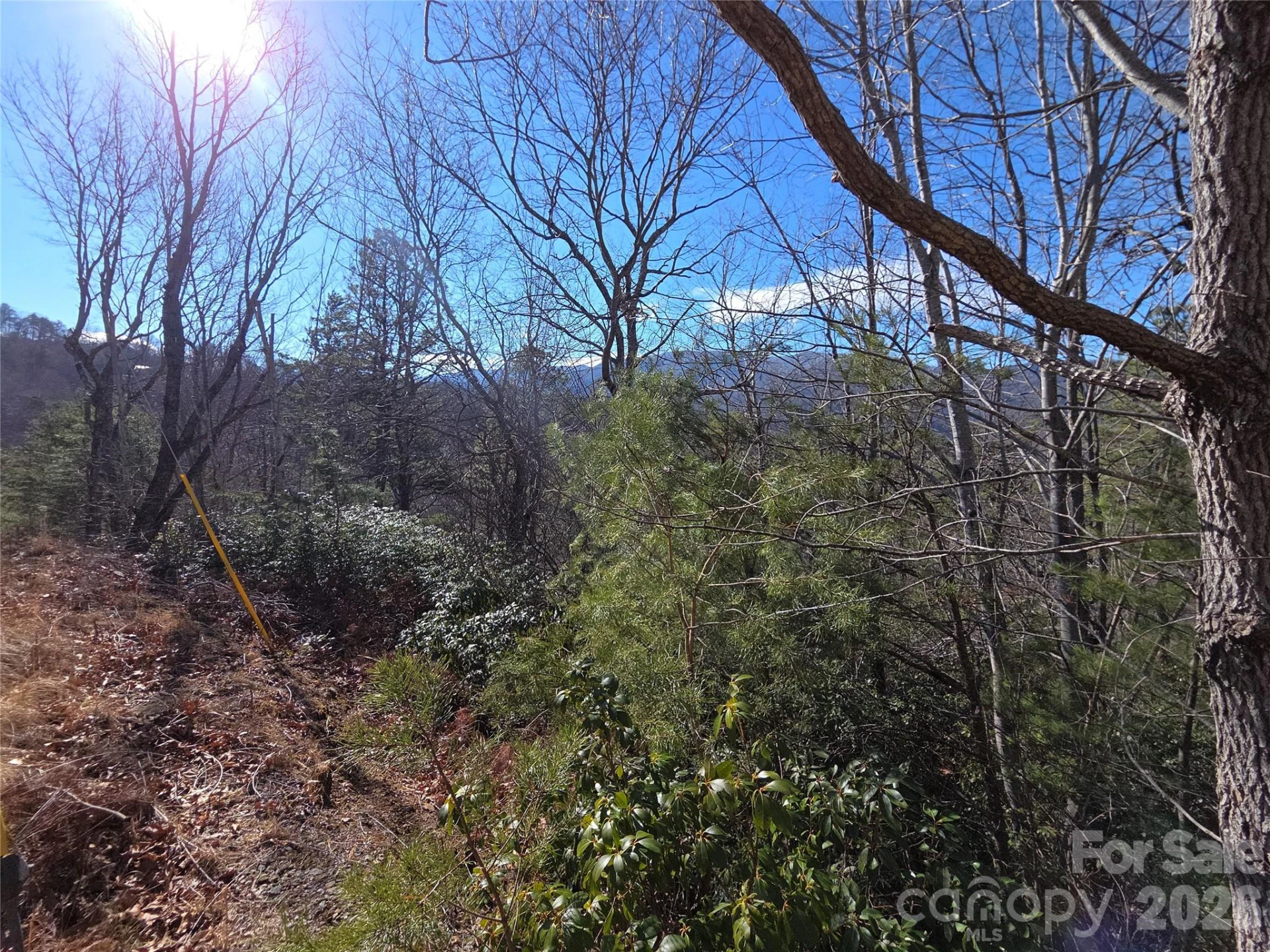 81 Lucerne Drive - Photo 8