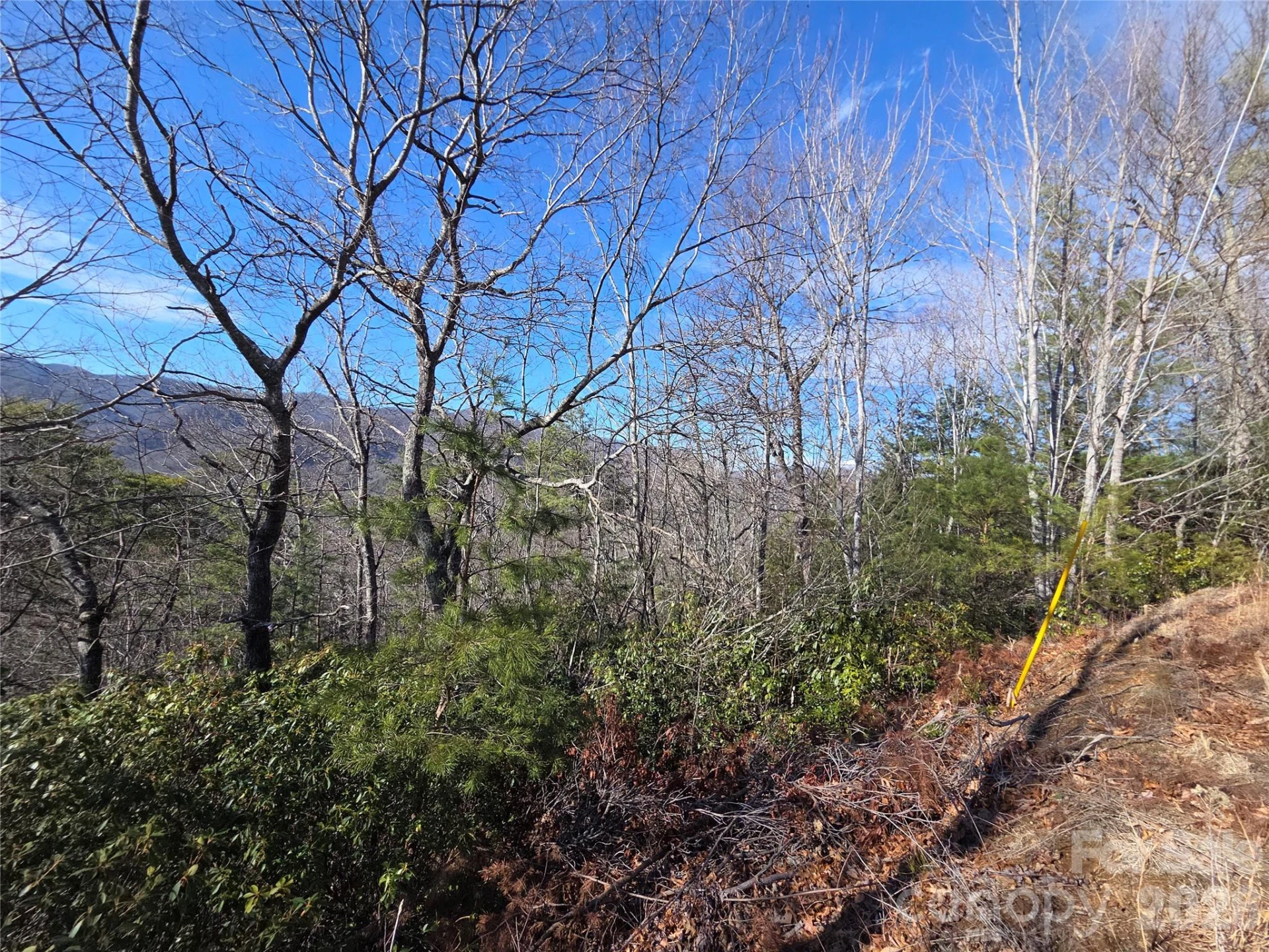 81 Lucerne Drive - Photo 10