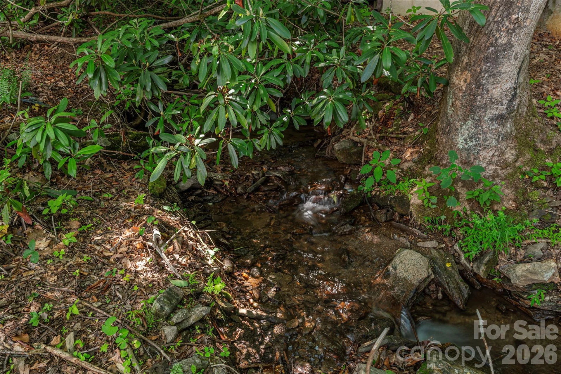 484 Twinbrook Lane - Photo 25