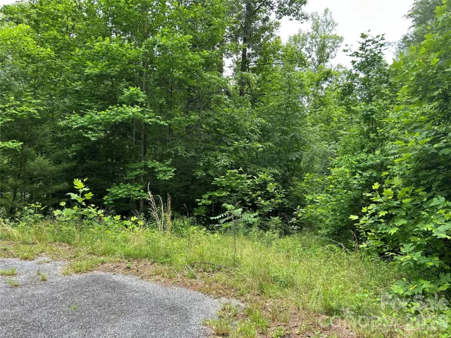 0 Silverstone Drive, Hendersonville, NC, 28792
