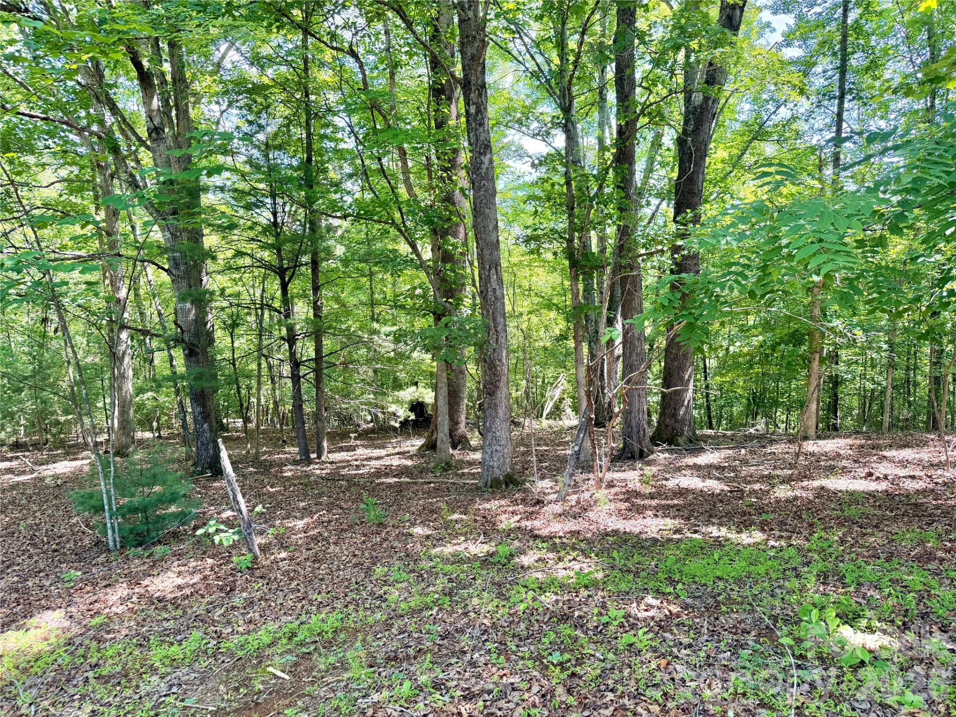 185 Dulaney Drive - Photo 6