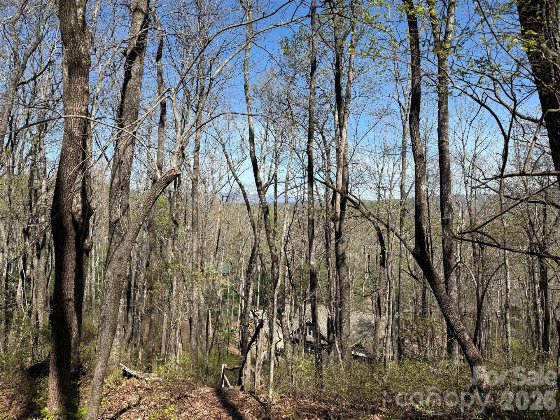 TBD White Oak Terrace #9 - Photo 6