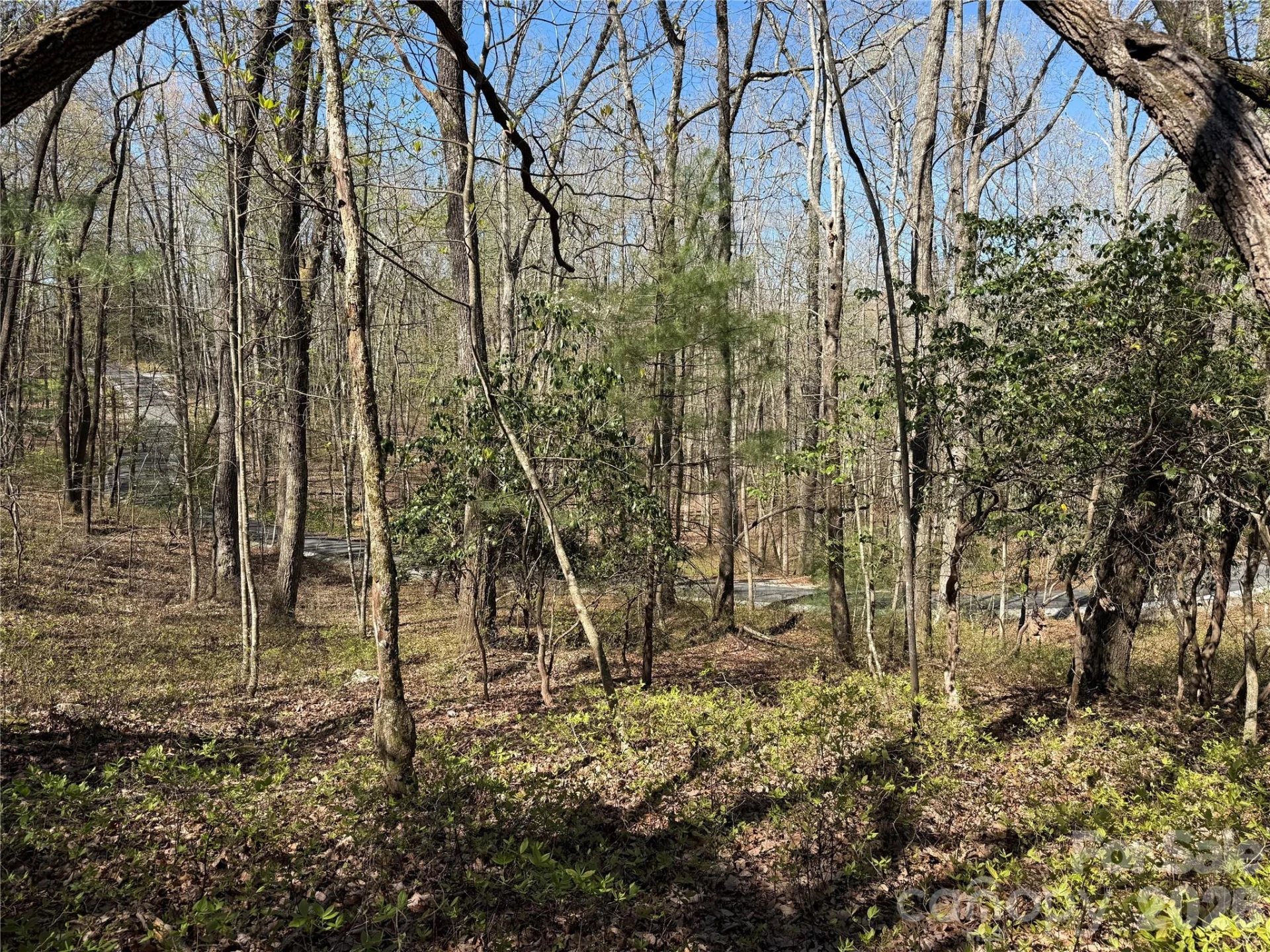 TBD White Oak Terrace #9 - Photo 8