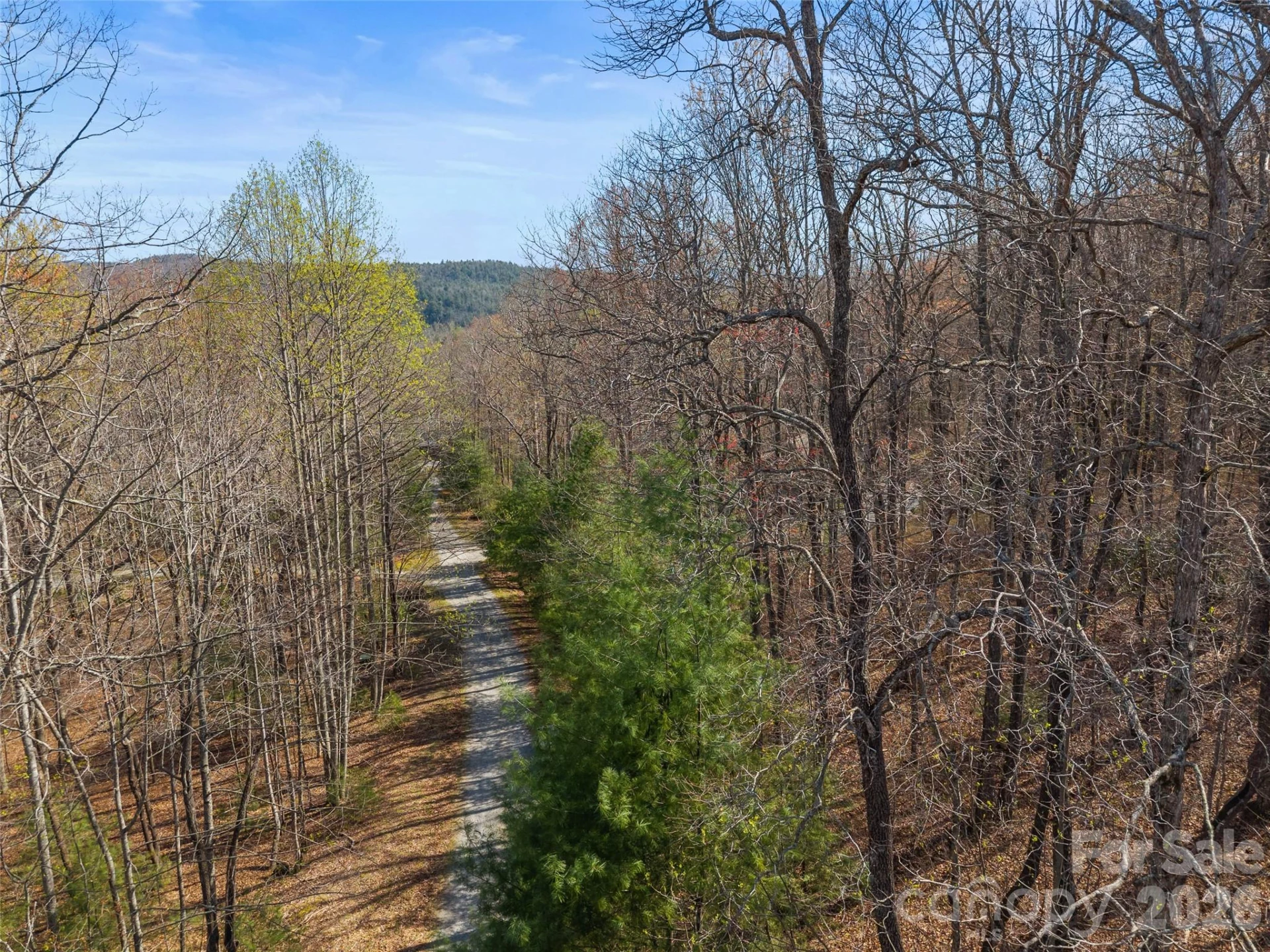 TBD White Oak Terrace #9 - Photo 9