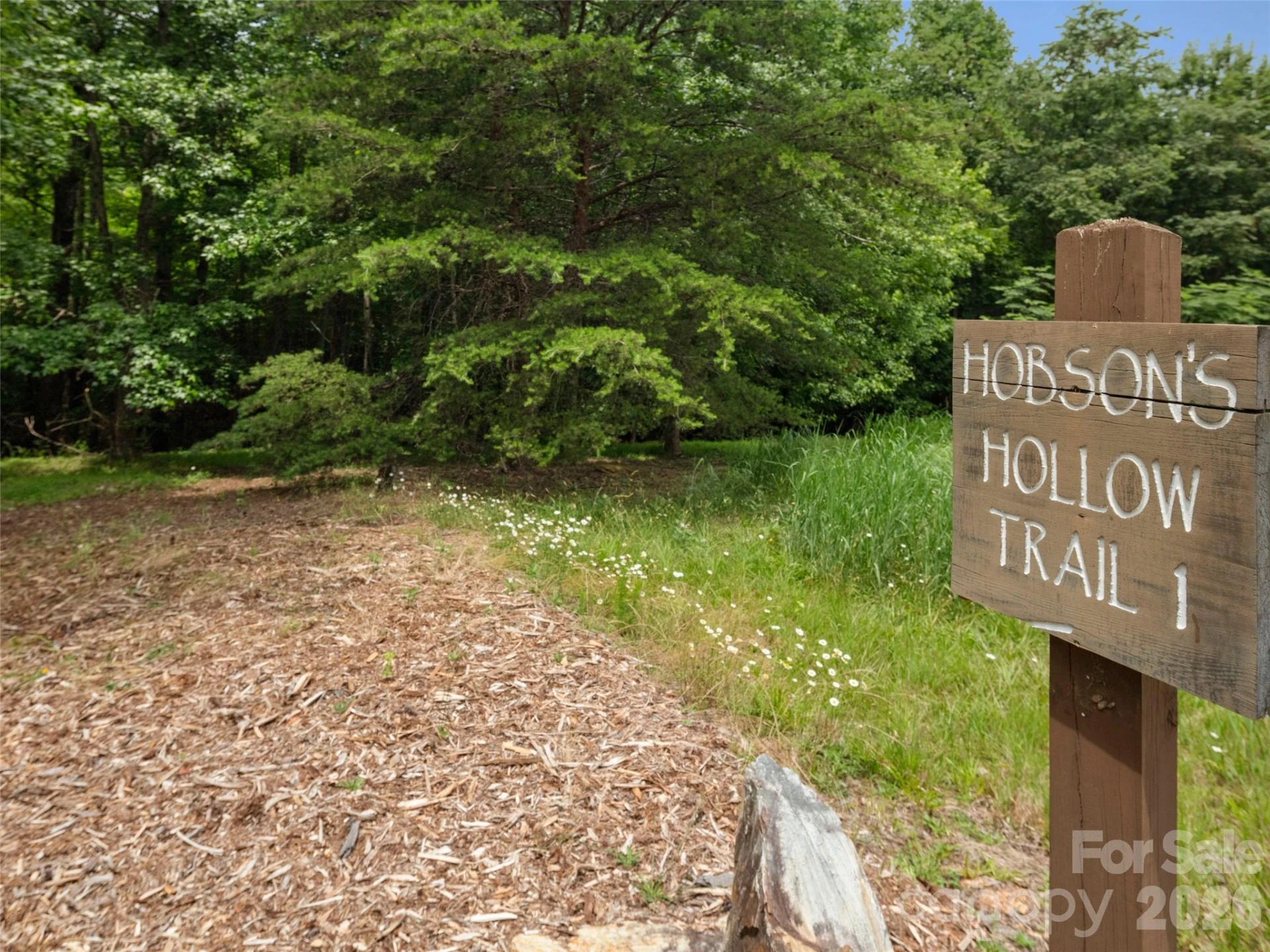 425 Dockside Drive - Photo 46