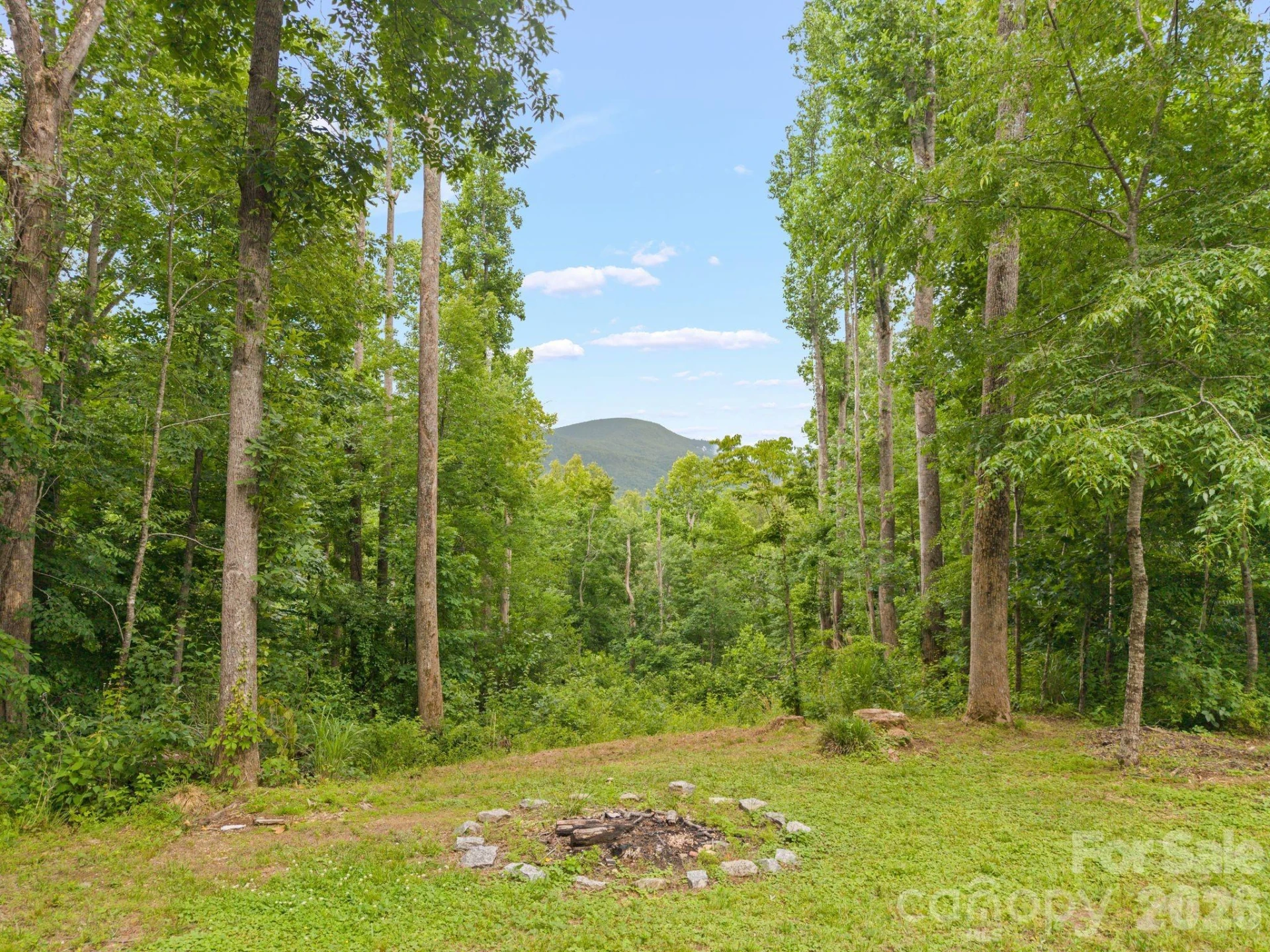 813 Beech Tree Place - Photo 29