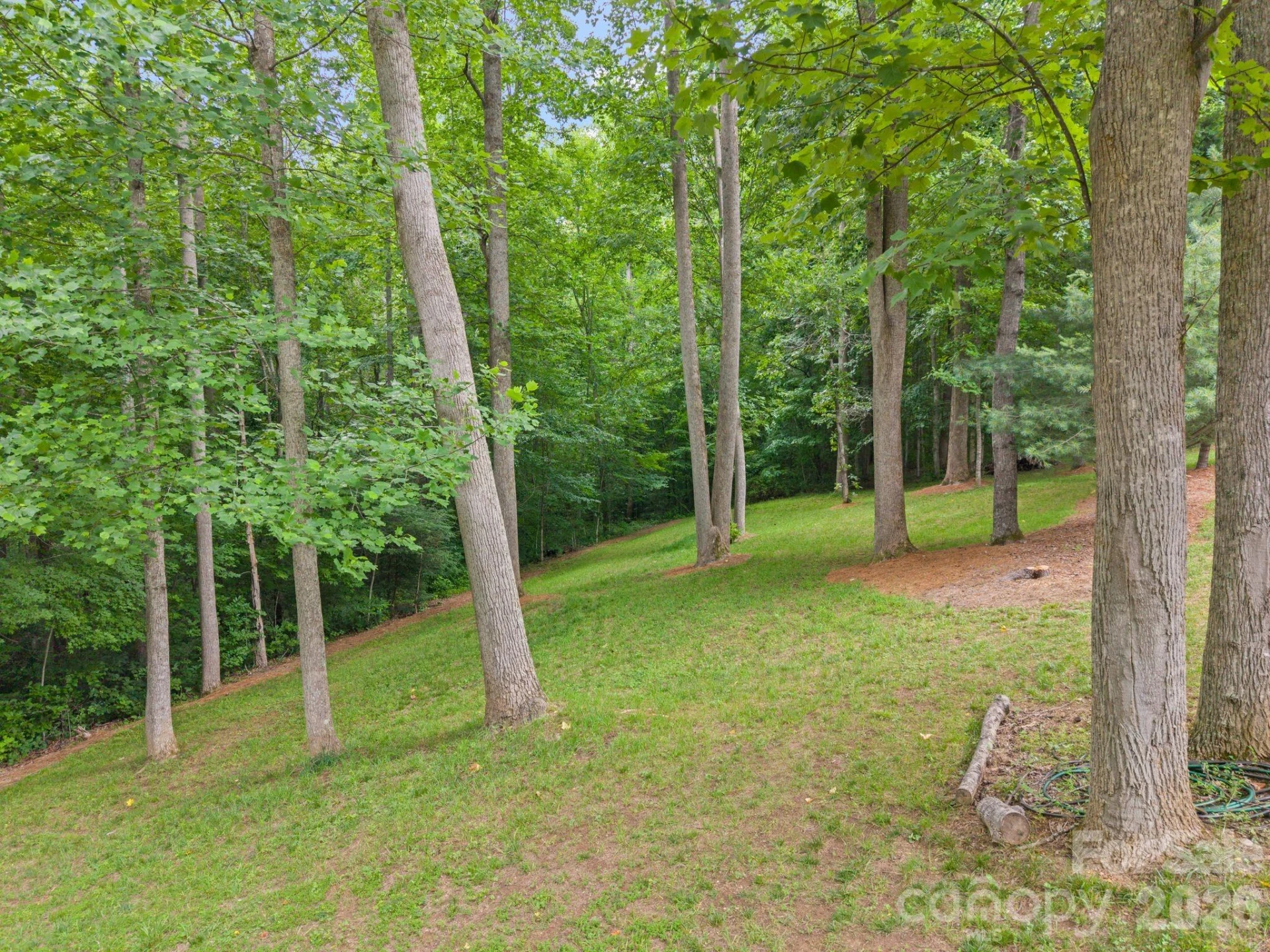 813 Beech Tree Place - Photo 31