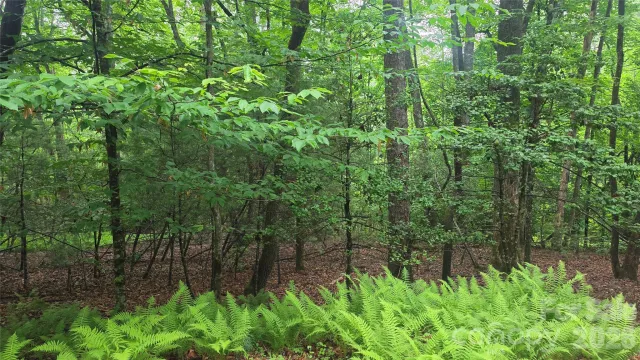 TBD Wingfield Way, Brevard, NC, 28712
