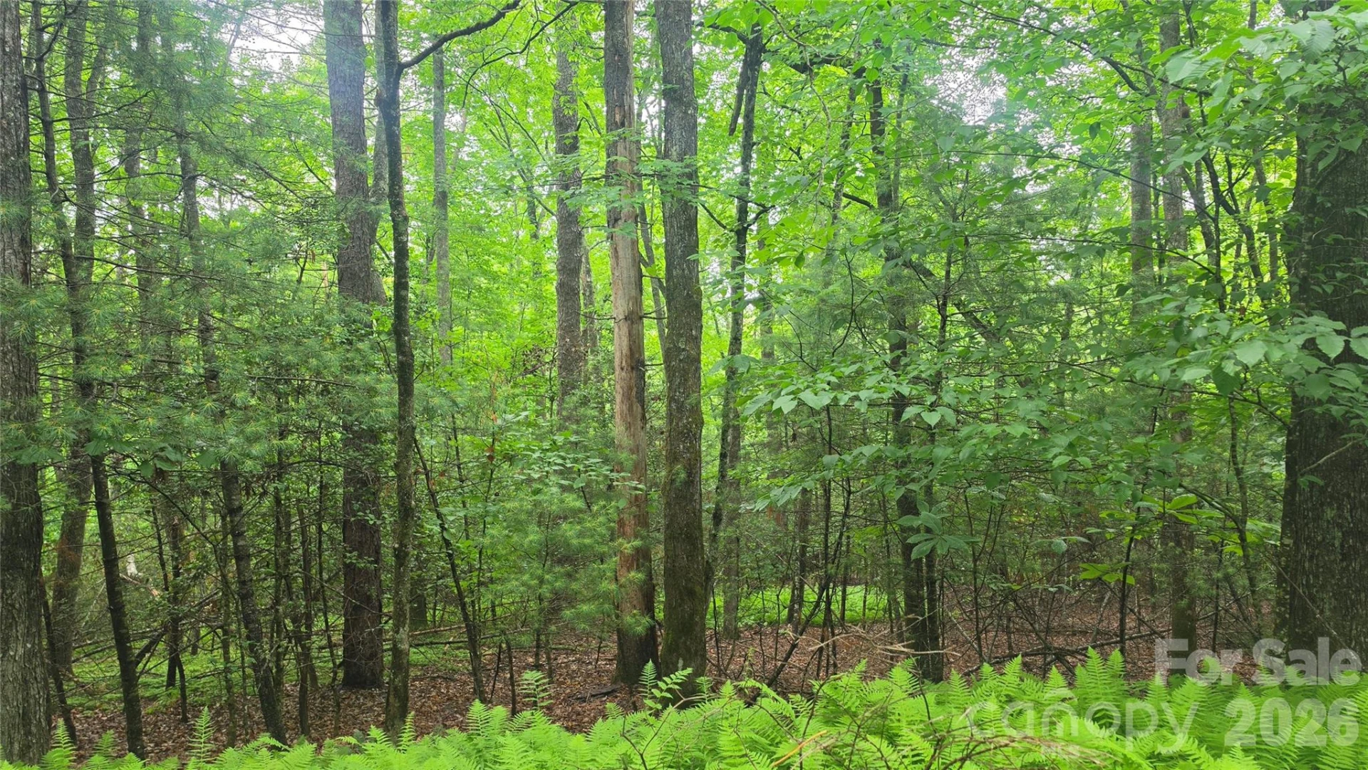 TBD Wingfield Way - Photo 2
