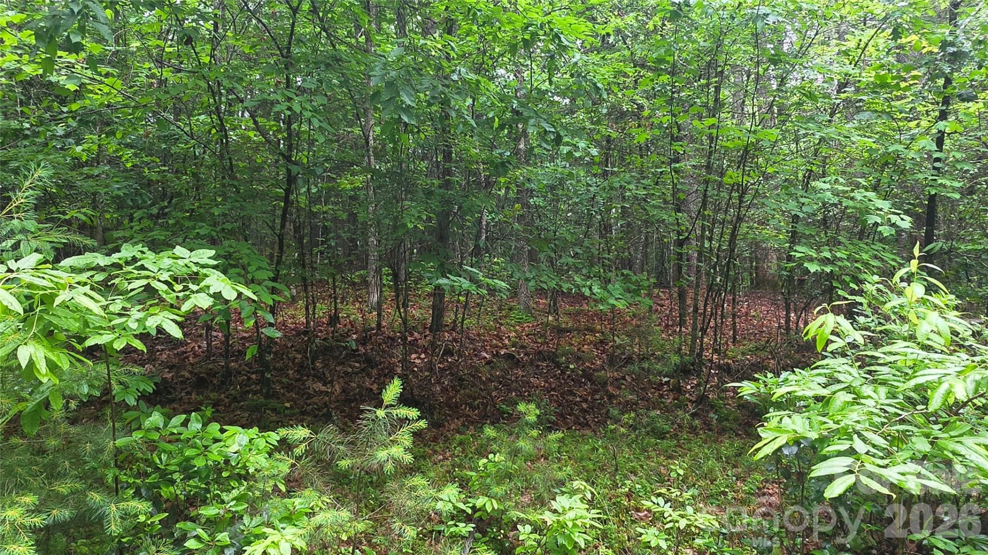 TBD Wingfield Way - Photo 4