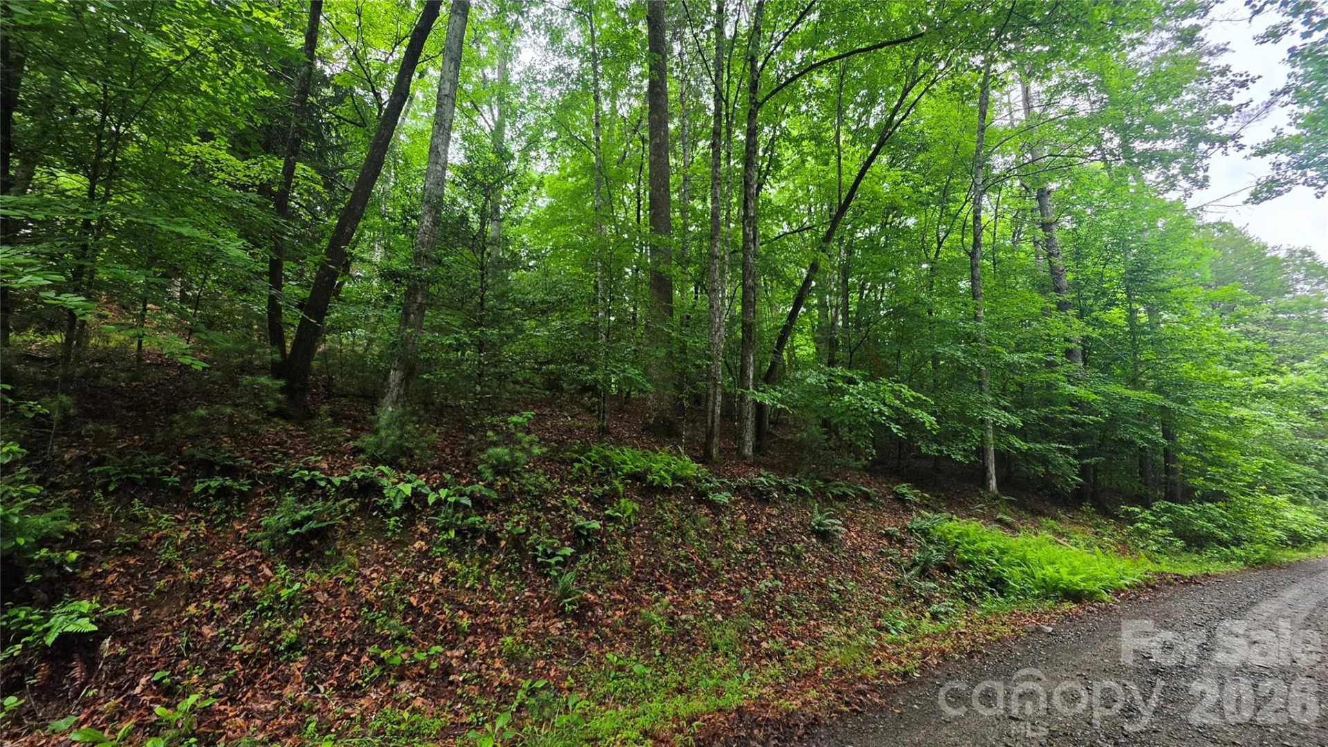 TBD Wingfield Way - Photo 5