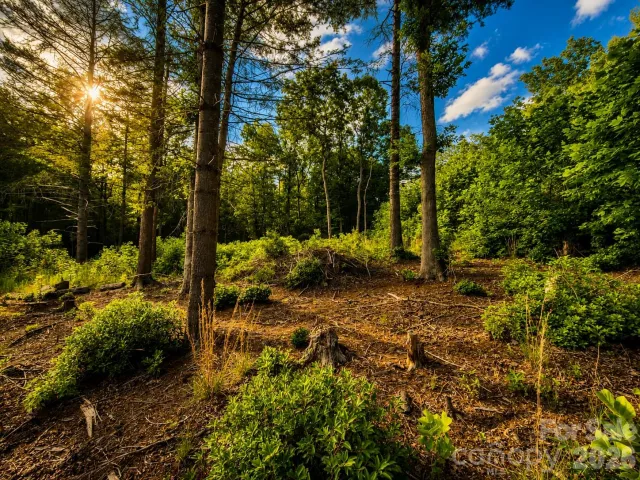 201 Cross Creek North Ridge Drive, Marion, NC, 28752
