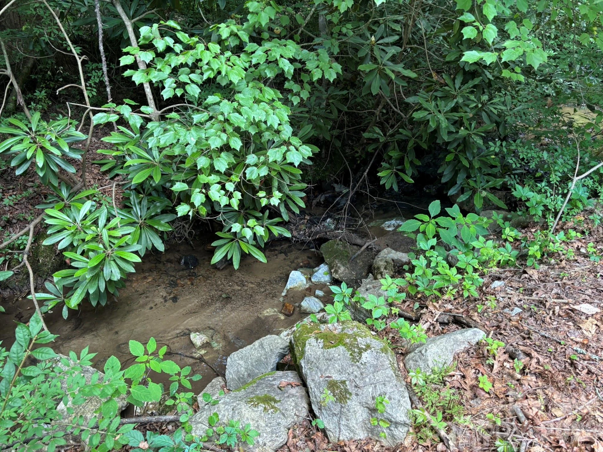 547 Avery Creek Road - Photo 12