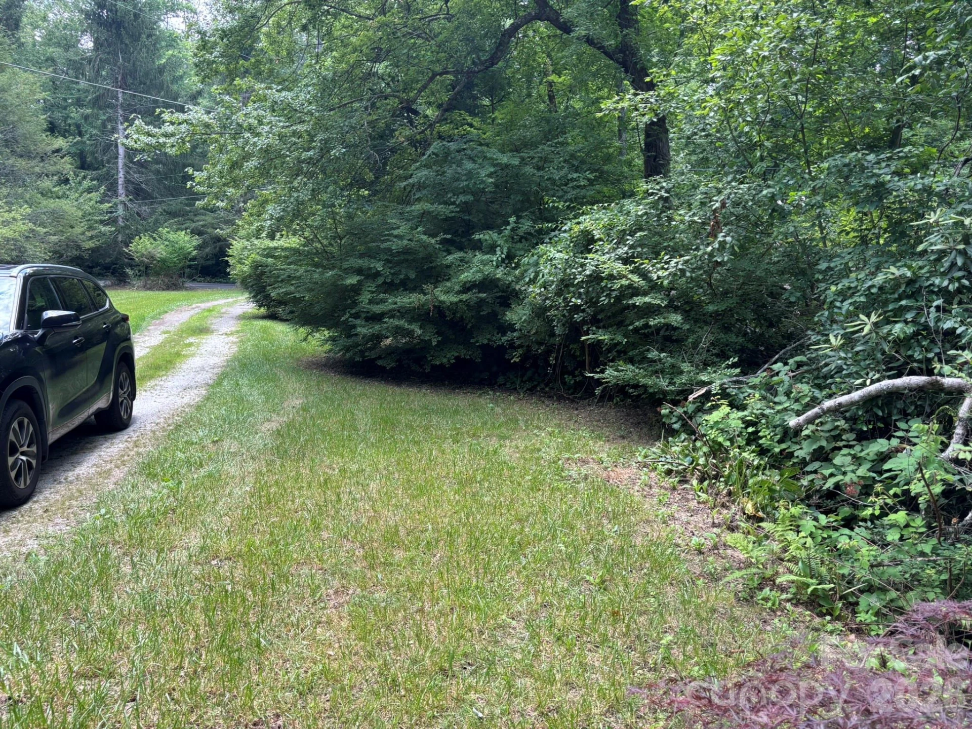 547 Avery Creek Road - Photo 13