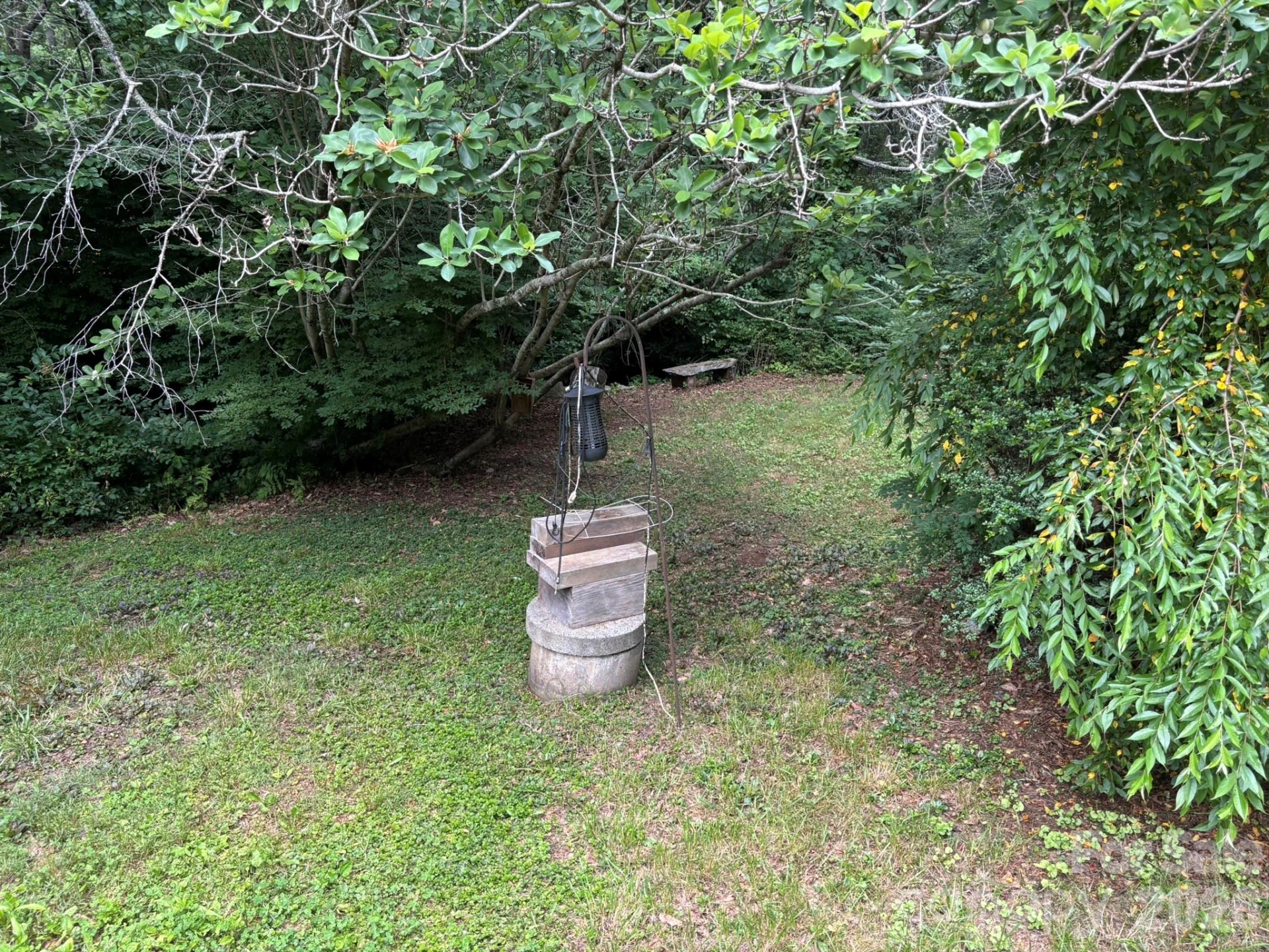 547 Avery Creek Road - Photo 15