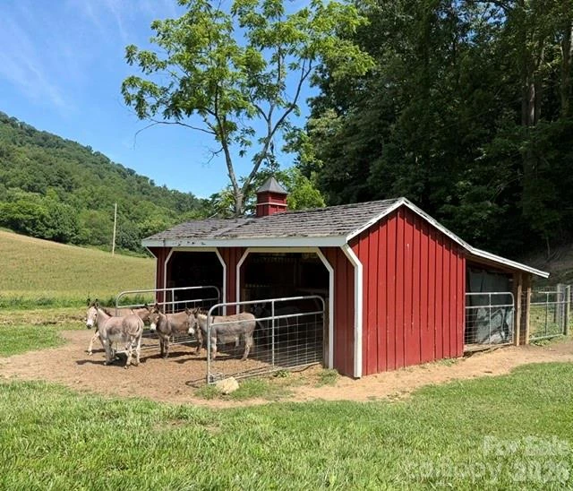227 Black Bear Cove - Photo 42