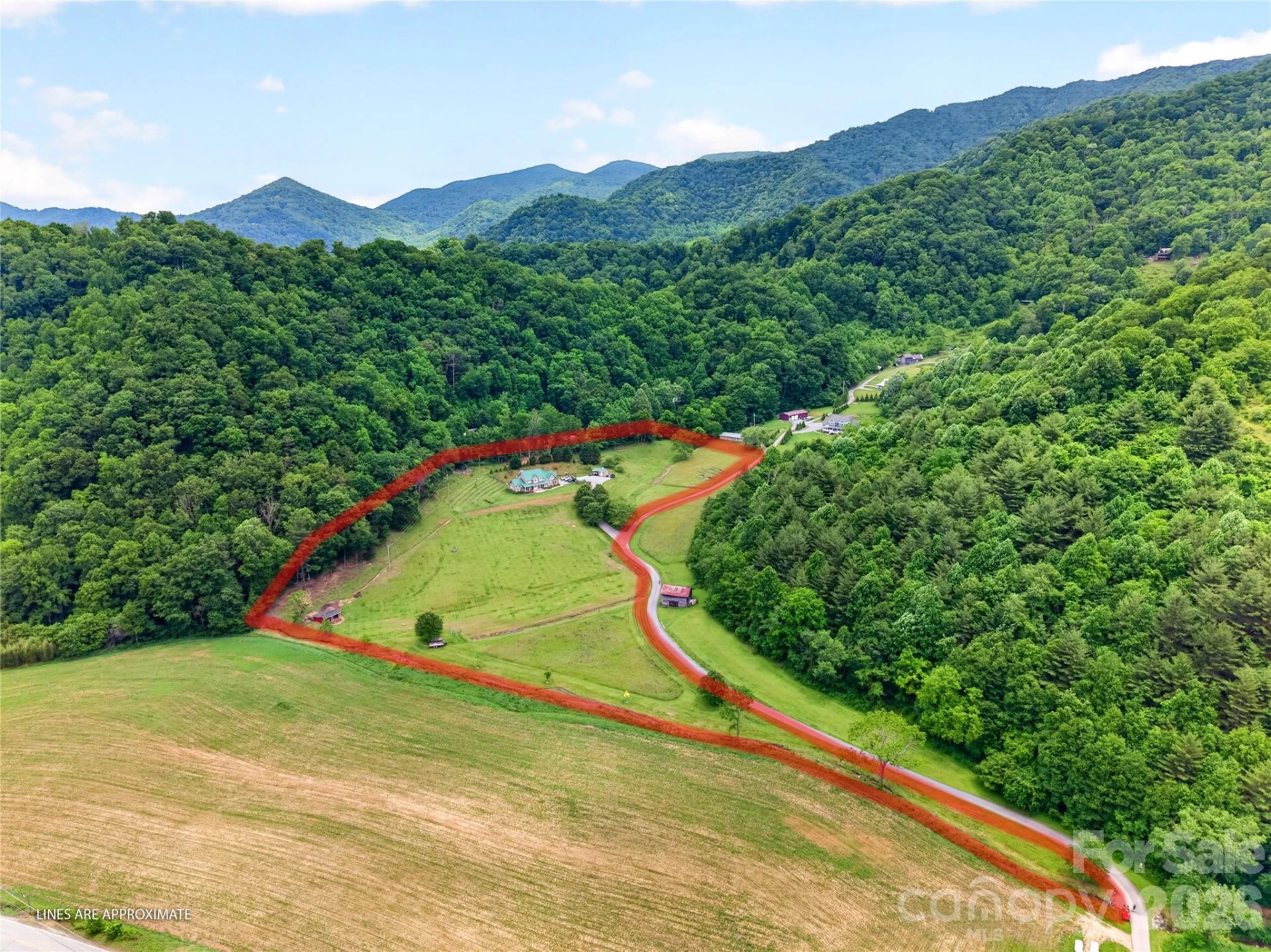 227 Black Bear Cove - Photo 44