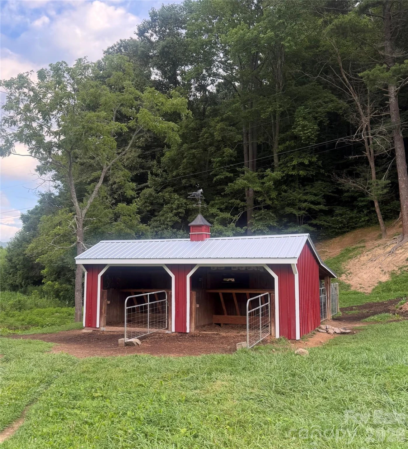 227 Black Bear Cove - Photo 43